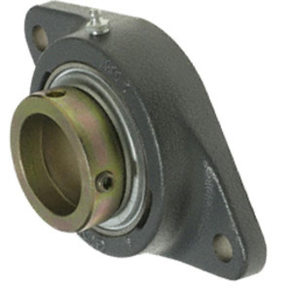 INA RCJTZ45 Flange Block Bearings #1 image