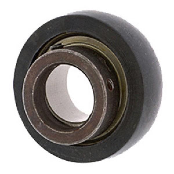 INA RABRB15/47-FA106 Insert Bearings Spherical OD #1 image