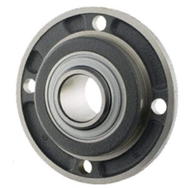 INA RMEY20-N Flange Block Bearings #1 image