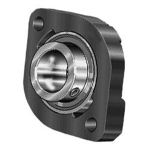 INA FLCTEY15 Flange Block Bearings #1 image