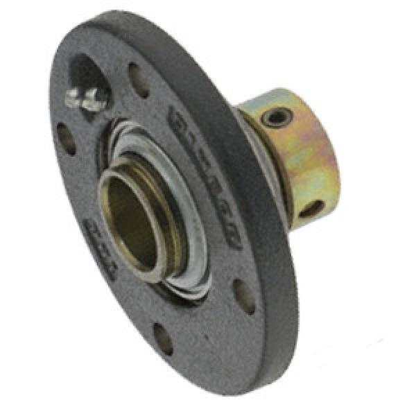 INA RME25-N Flange Block Bearings #1 image