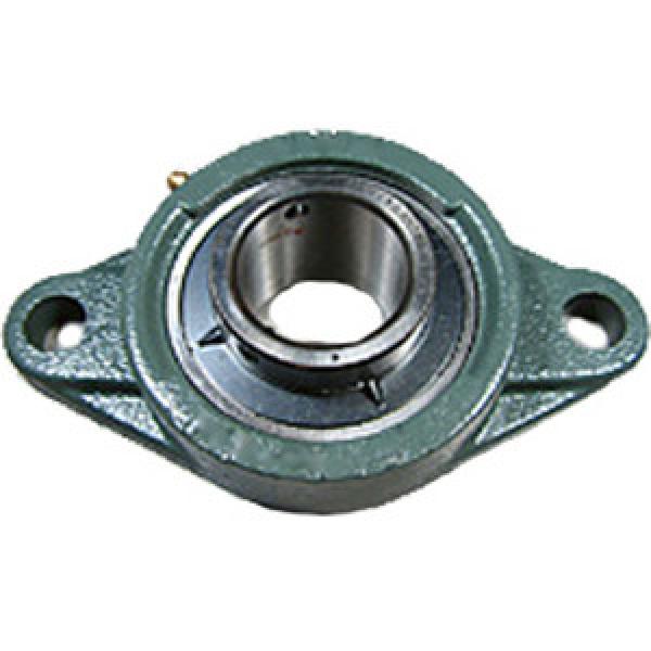 NTN UCFL202D1 Flange Block Bearings #1 image