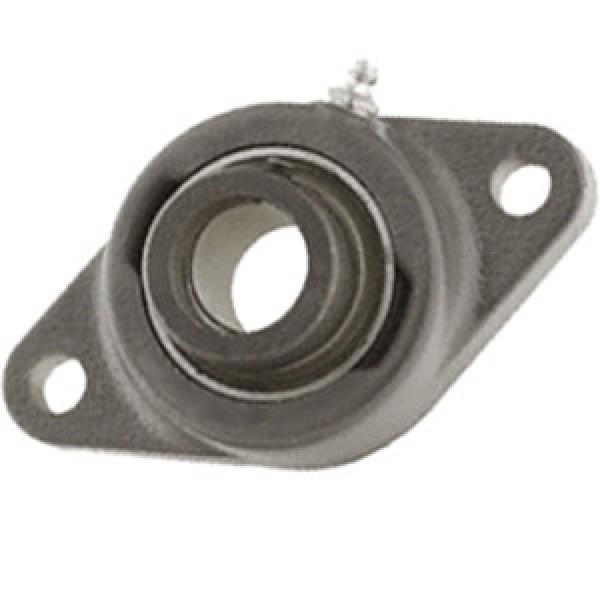 INA TCJT25-N Flange Block Bearings #1 image