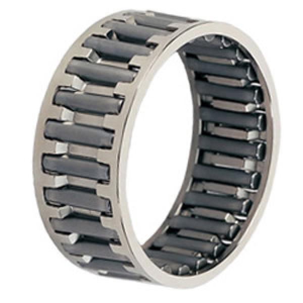 INA C162116-A Needle Non Thrust Roller Bearings #1 image