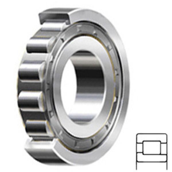 NSK NJ209W Cylindrical Roller Bearings #1 image