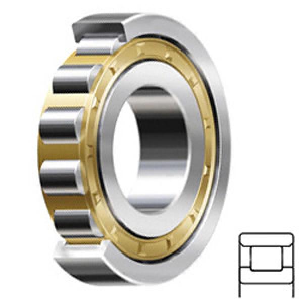 FAG BEARING N217-E-M1-C3 Cylindrical Roller Bearings #1 image