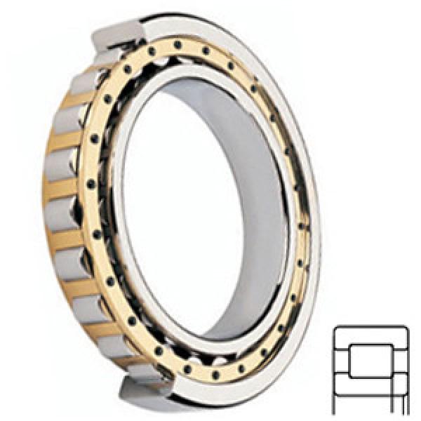 FAG BEARING NUP211-E-M1 Cylindrical Roller Bearings #1 image