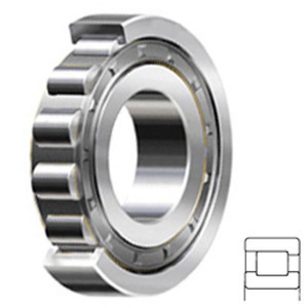 NSK NF210W Cylindrical Roller Bearings #1 image