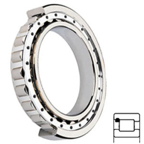 NTN MUF5210UV Cylindrical Roller Bearings #1 image