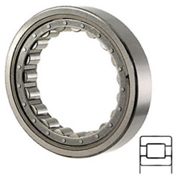 NTN W67217EAX Cylindrical Roller Bearings #1 image
