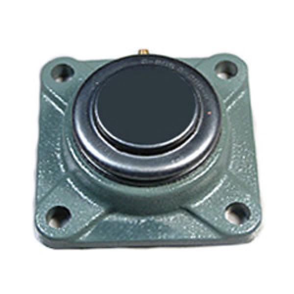 NTN SM-UCF205 Flange Block Bearings #1 image