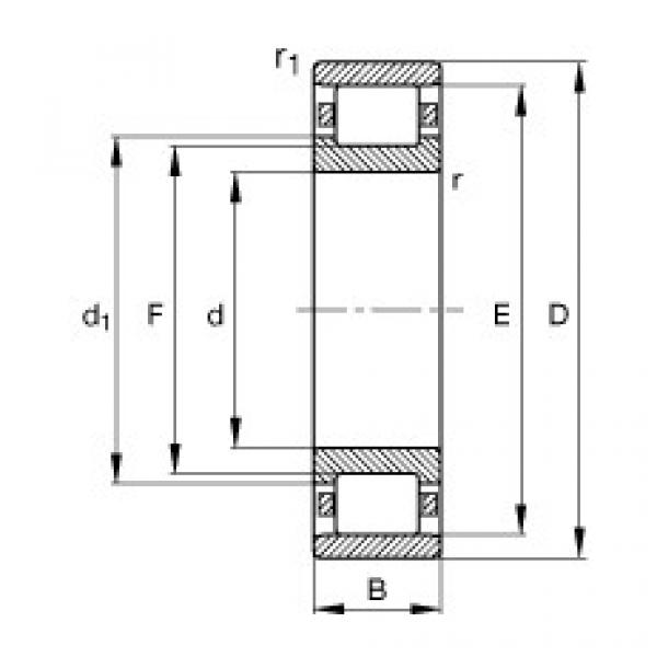 Bearing N307-E-TVP2 FAG #1 image