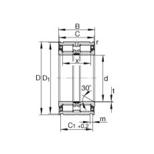 Bearing SL045036-PP INA #1 image