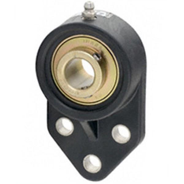 NTN UCFH203 Flange Block Bearings #1 image