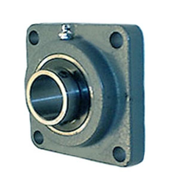 NTN UCFG218D1Y-480 Flange Block Bearings #1 image