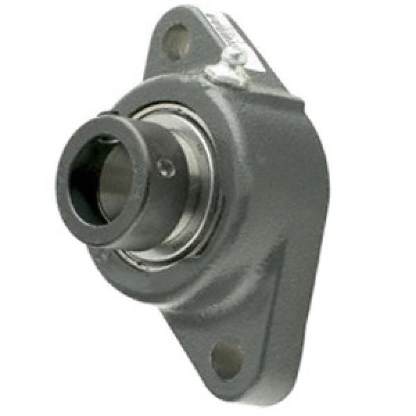 INA LCJT40-N Flange Block Bearings #1 image