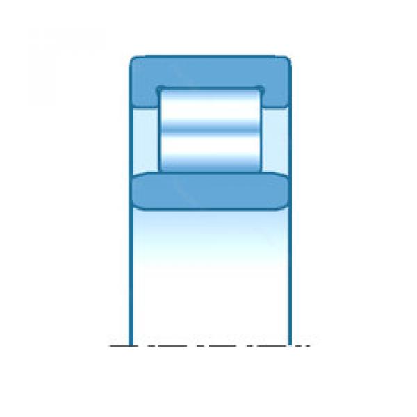 Bearing RNU11601 NTN #1 image