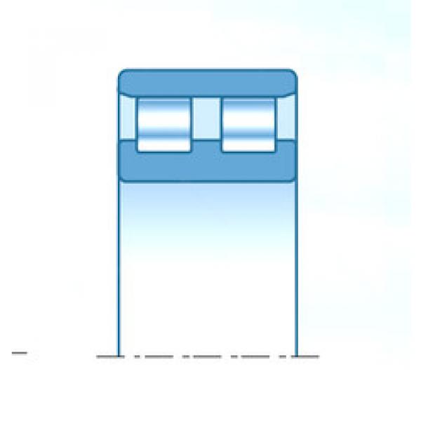 Bearing NN49/800KP5V1 NTN #1 image