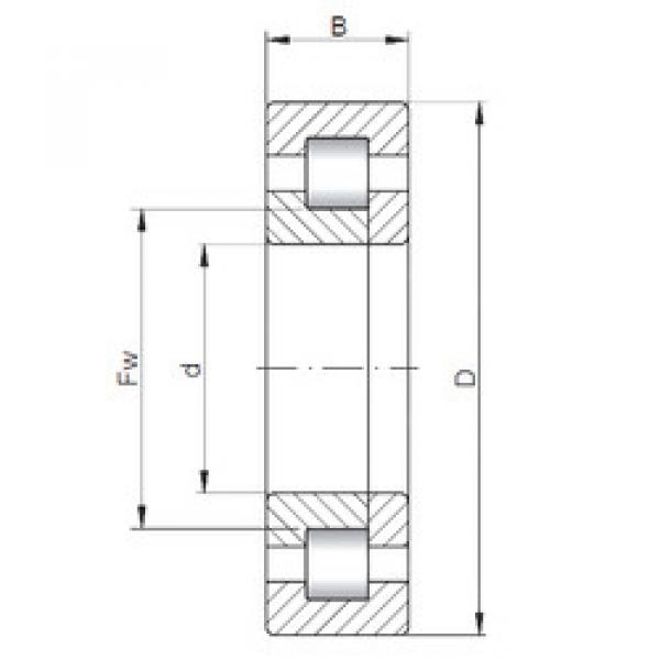 Bearing NUP20/500 CX #1 image