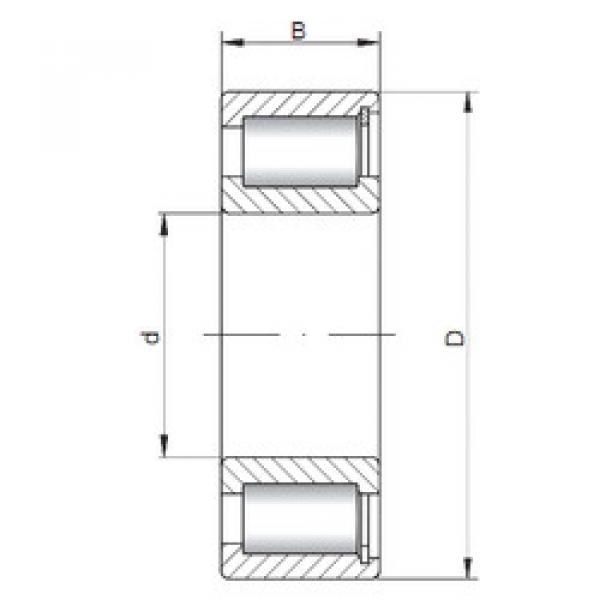 Bearing NCF1844 V CX #1 image