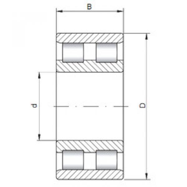 Bearing NN3044 CX #1 image