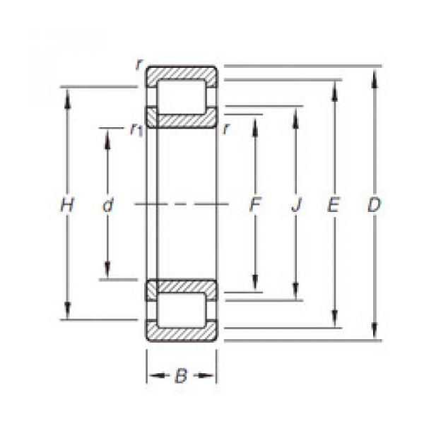 Bearing NUP204E.TVP Timken #1 image