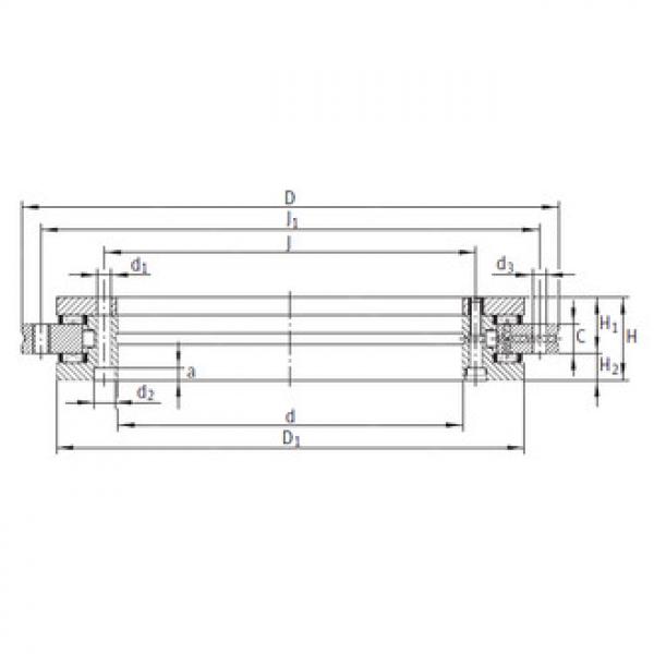 Bearing YRT100 INA #1 image