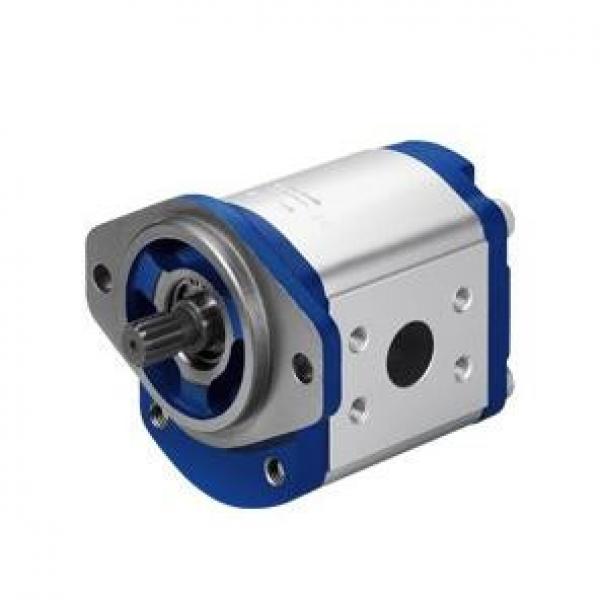  Henyuan Y series piston pump 80SCY14-1B #1 image