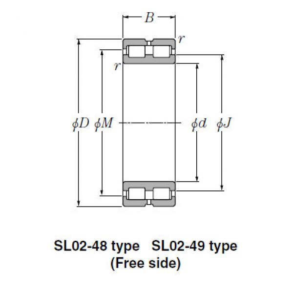 Bearing SL01-4848 #1 image