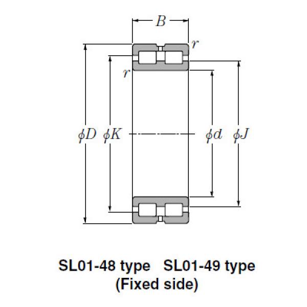 Bearing SL01-4876 #1 image