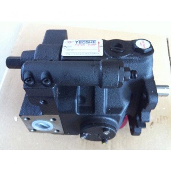 YEOSHE V15A1LB10X #1 image