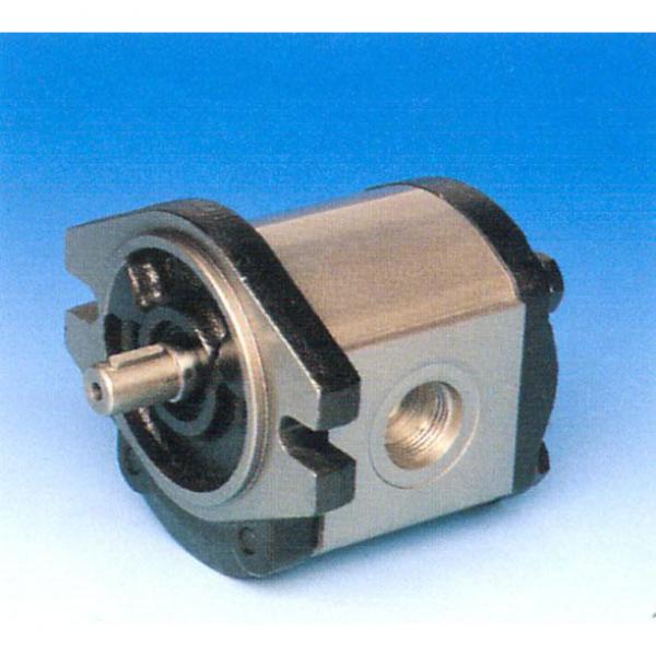 Italy MARZOCCHI pump GHP2BK1-D-10-T4-T #1 image