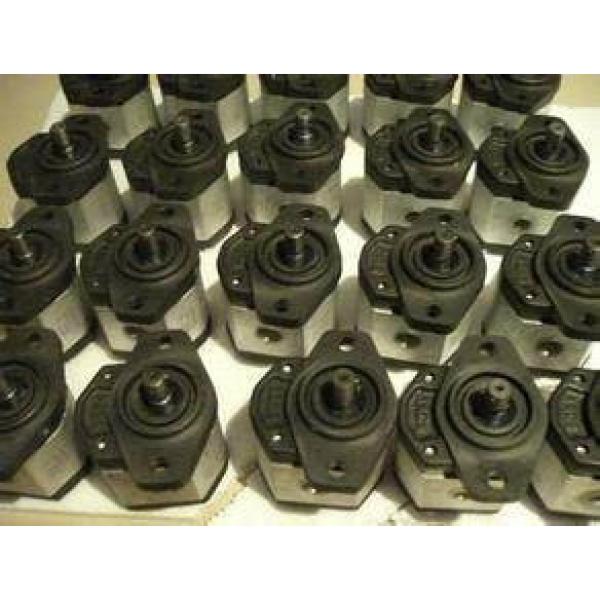 Italy MARZOCCHI pump ALP2BK1-D-25-T5-T #2 image