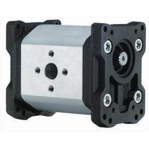 Italy MARZOCCHI pump  ALPA3-D-60+ALPI1-D-9+ALPP1-D-6 #1 image