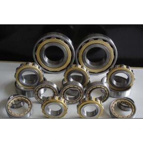 Rexroth hydraulic pump bearings F-235793.NJ #2 image